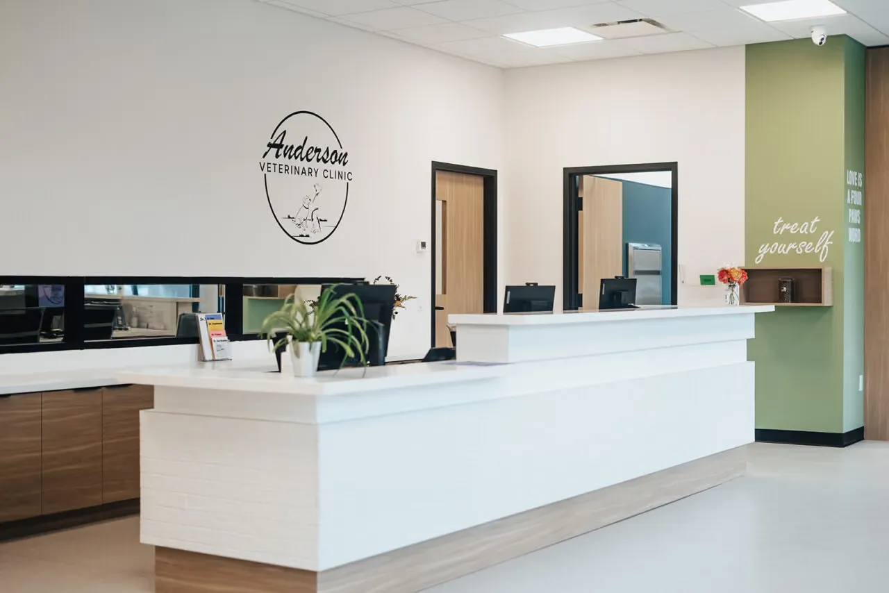 Veterinary clinic reception counter in white solid surface