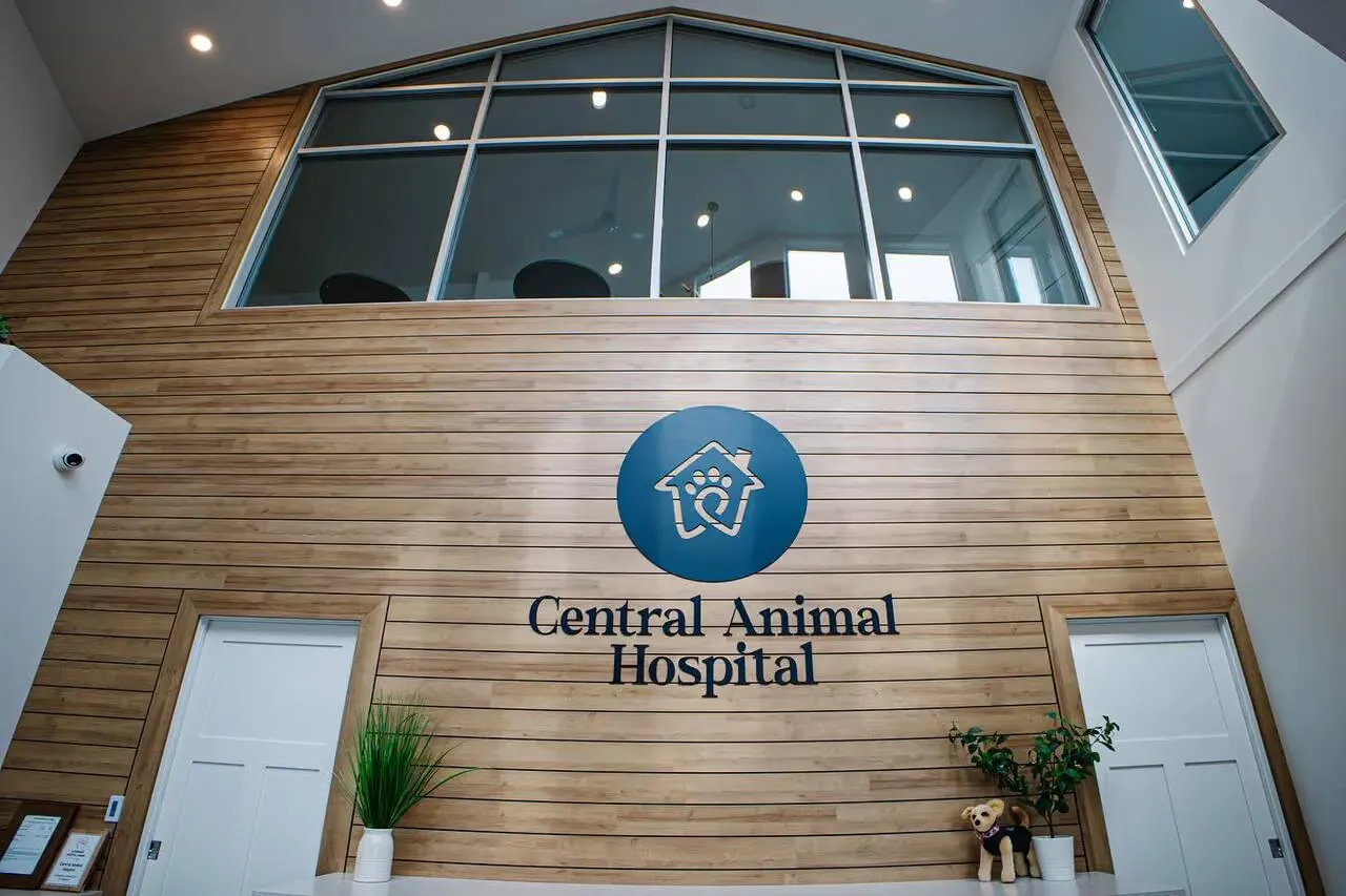 Slatted wood feature wall carrying the Central Animal Hospital signage